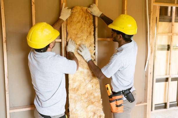 Best Attic Insulation Installation  in Peoria Heights, IL